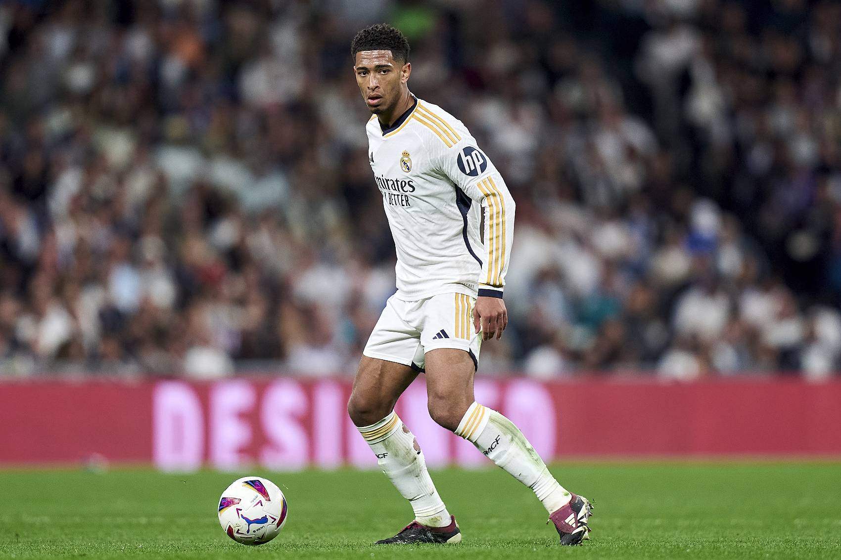 全队响应 全队响应